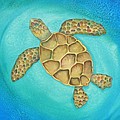 Solo Swimmer