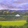 Fields of Plenty